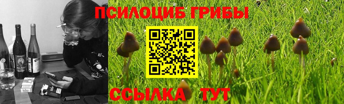 Псилоцибиновые грибы мухоморы Лангепас